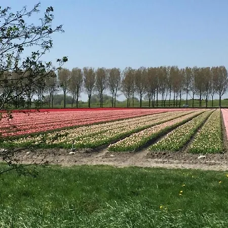 Rekerlanden 173